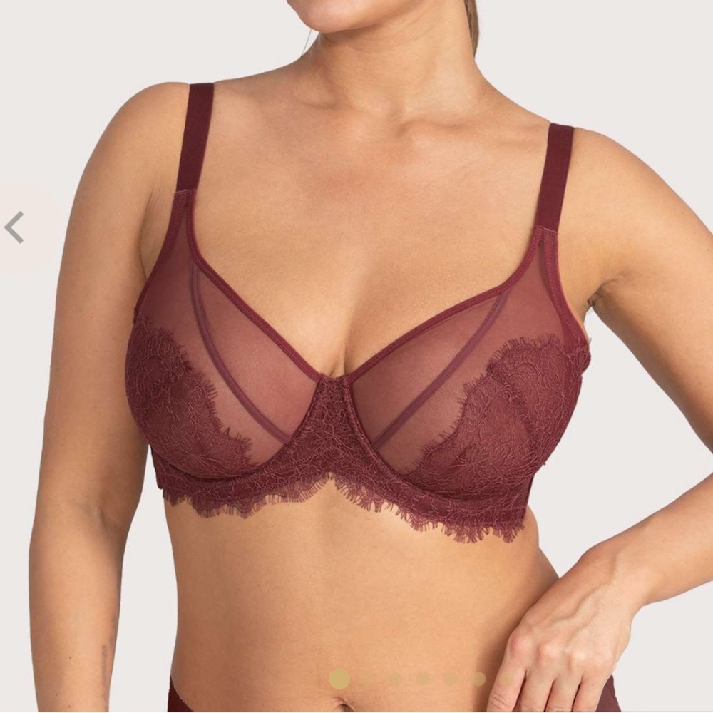 Stunning burgundy bra